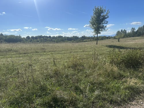 Segelflugplatz Müllheim