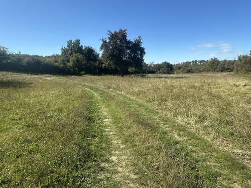 Segelflugplatz Müllheim