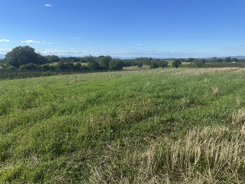 Segelflugplatz Müllheim