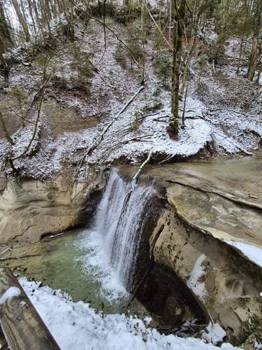 Um den Schmalegger Wasserfall und Ringgenburg