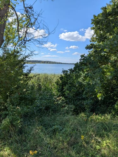 Ecktannen - Warnker See - Feisnecksee