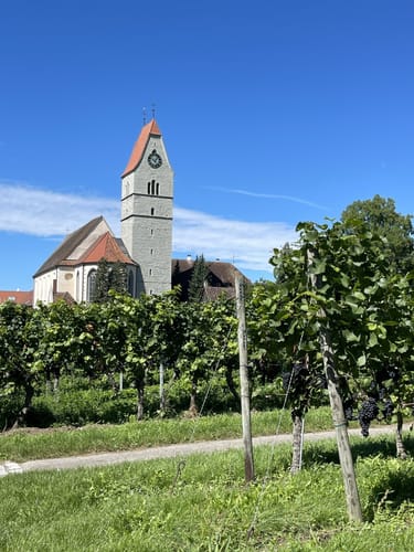 Bodensee-Rundwanderweg Etappe 3: Unteruhldingen  - Friedrichshafen