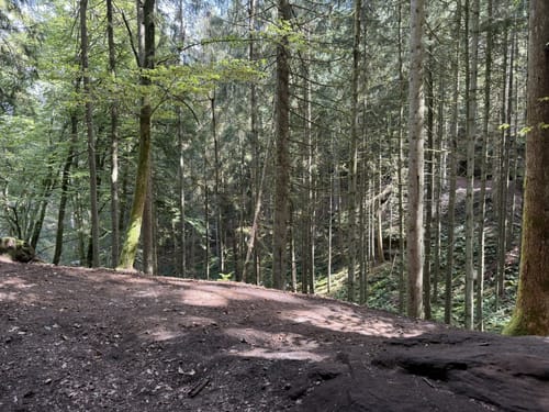 Kirkeler Tafeltour (Premiumwanderweg)