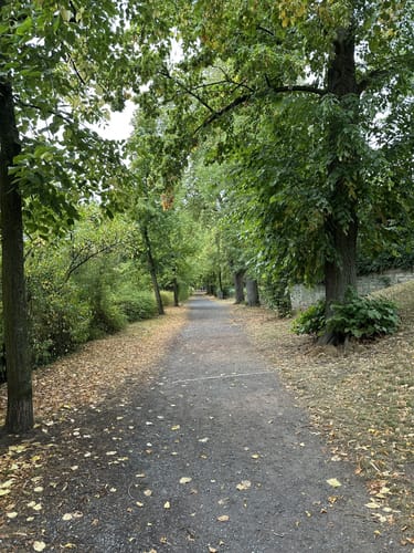 Rundum Soest zum Stadtpark