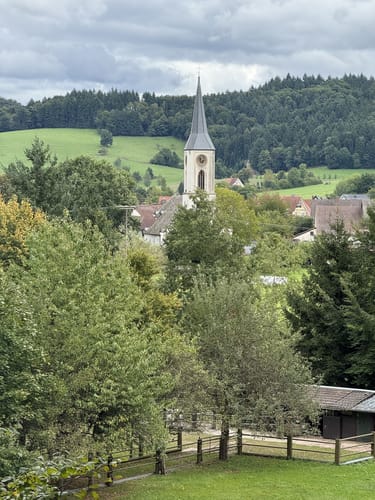 Rund um den Hornwald und die Hochburg