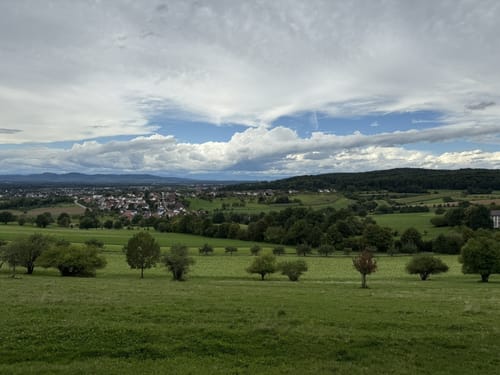 Rund um den Hornwald und die Hochburg