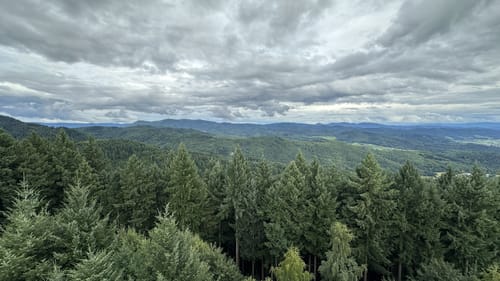 Fessenbach - Fußberg