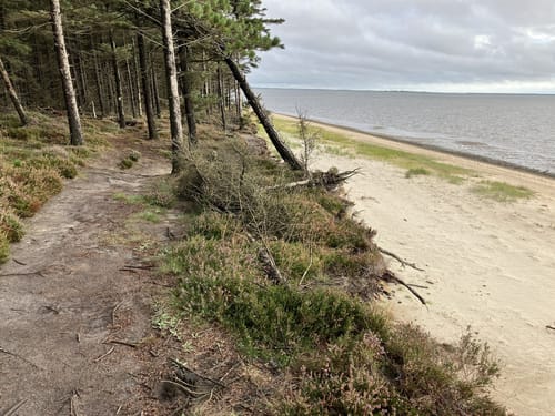Naturpark Marbæk og Sjelborg Plantage