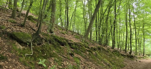 Kindsbach Kandeltal zur Ruine Großerberg
