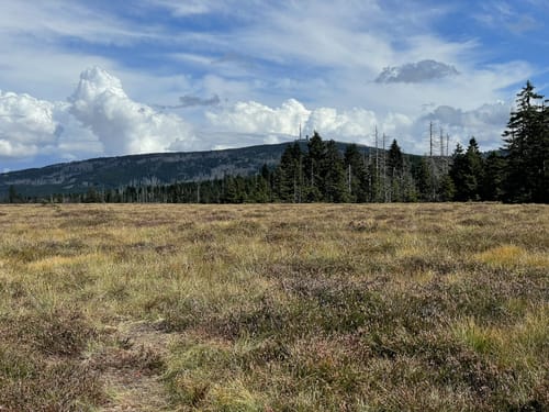 Neuer Goetheweg zum Brocken