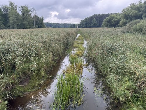 Grafenwöhr - Trag - Bärnwinkel