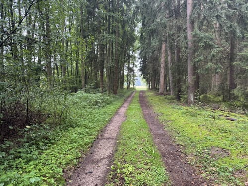 Grafenwöhr - Trag - Bärnwinkel