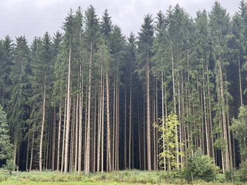 Grafenwöhr - Trag - Bärnwinkel