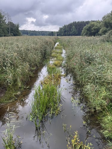 Grafenwöhr - Trag - Bärnwinkel
