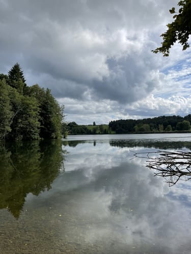 Rundweg 16 Igelsbachsee