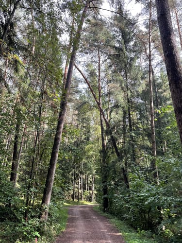 Rundweg 16 Igelsbachsee