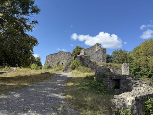 Traumhafte Siebengebirgsrunde mit Löwenburg und Drachenfels