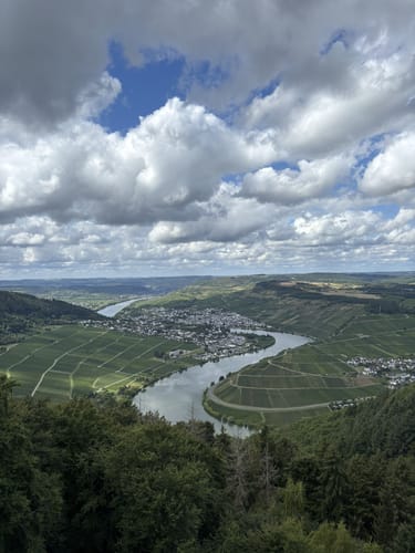 Moselsteig Etappe 7: Mehring - Leiwen