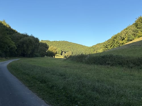 Hasselbachtal von Datterrode