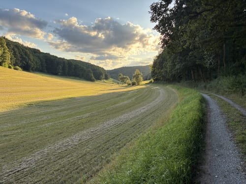 Hasselbachtal von Datterrode