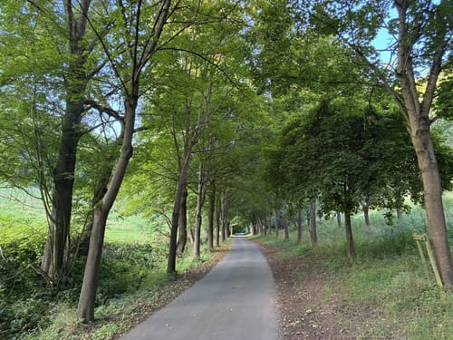 Hasselbachtal von Datterrode