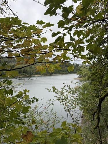 Aggertalsperre Rundweg