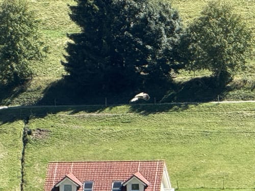 Martin Heidegger Rundweg