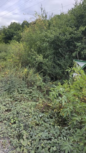 Rundwanderweg A1: Im Arnsberger Wald bei Neheim