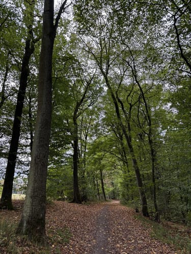 Zu den Wichtelhölen Bad Kissingen