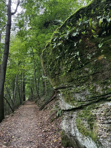Zu den Wichtelhölen Bad Kissingen