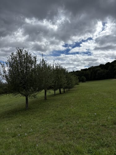 Zu den Wichtelhölen Bad Kissingen