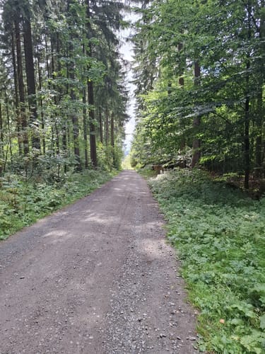 "Flinker Knecht zu Rechenberg"