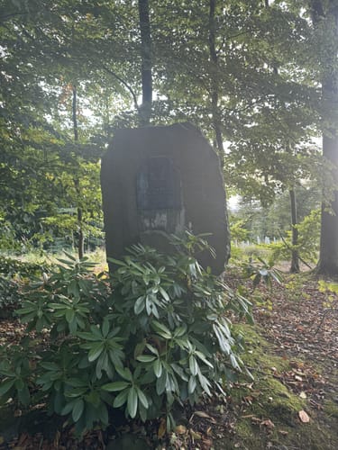 Häufgen - Haufer Kopf - Boesebecke