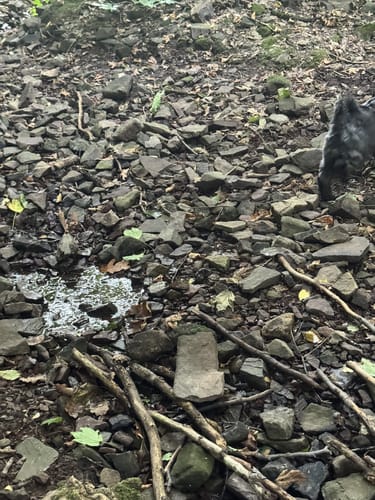 Häufgen - Haufer Kopf - Boesebecke