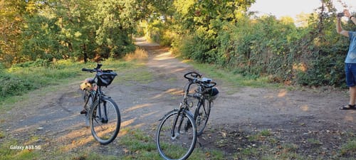 Elbtour ab Coswig