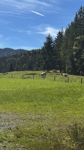Schwarzenberg Runde