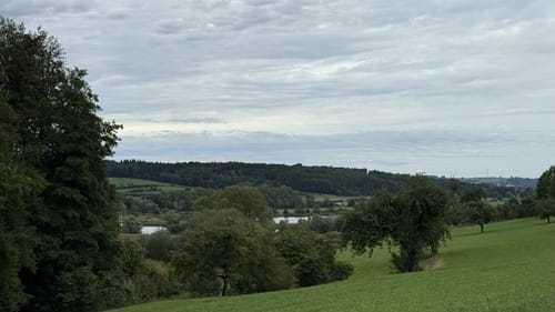 Rulfingen - Vogelsee