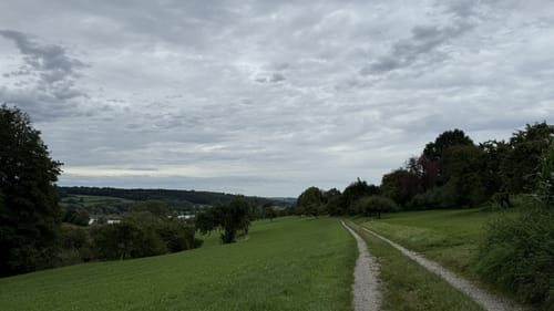 Rulfingen - Vogelsee