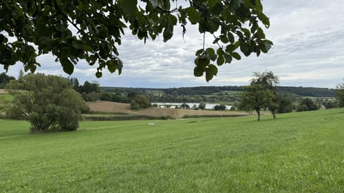 Rulfingen - Vogelsee