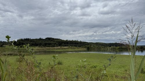 Rulfingen - Vogelsee