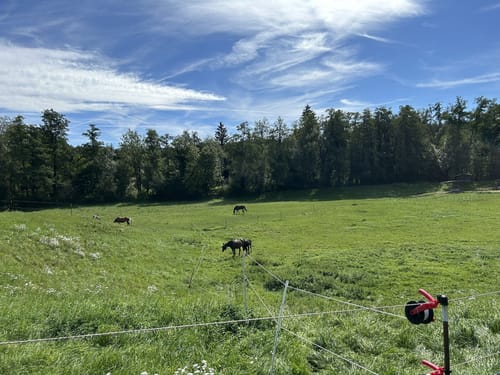 Von Gauting durchs Würmtal