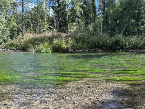 Von Gauting durchs Würmtal