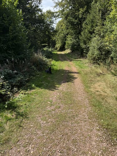 Ibacher Panoramaweg (Genießerpfad)