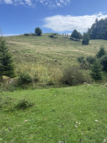Ibacher Panoramaweg (Genießerpfad)