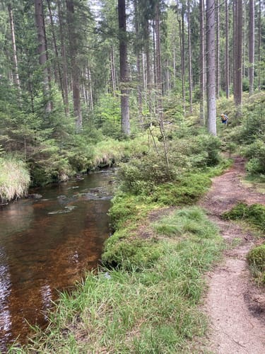 Weißmain-Ochsenkopf-Steig