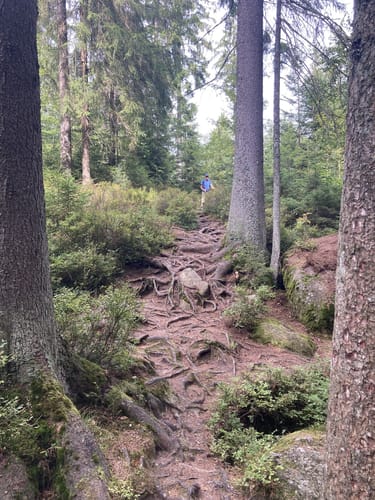 Weißmain-Ochsenkopf-Steig
