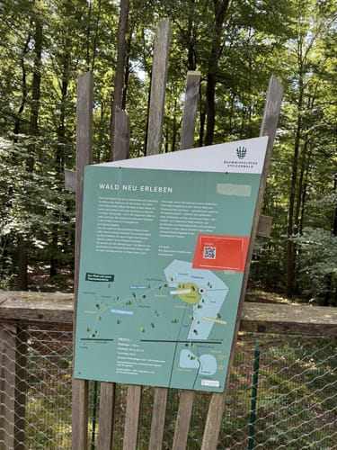 Baumwipfelpfad Steigerwald