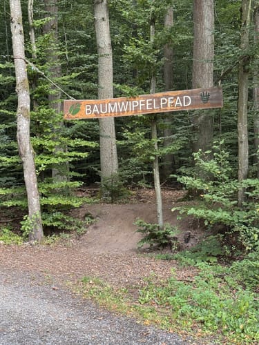 Baumwipfelpfad Steigerwald