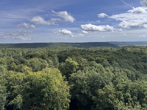 Baumwipfelpfad Steigerwald