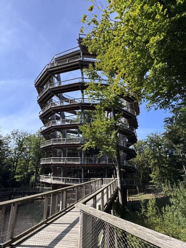 Baumwipfelpfad Steigerwald